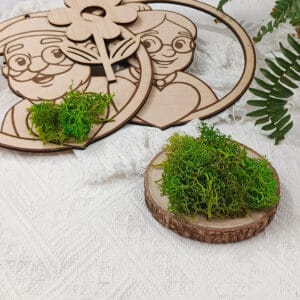 Naturalny mech chrobotek